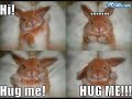 I Miss You - Slideshow