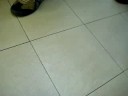 Abby13072008