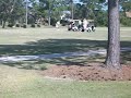 Click here to watch this video Randome Golfers
