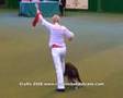 Crufts 2008 ( Centro Studi del Cane )
