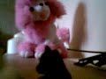 deade doggie