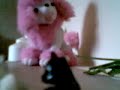 deade doggie
