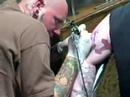 Anthony Romano the first and likely only person in history to get an offical Sports Final Radio googan tattoo from our friends at Peacock's Tattoo.