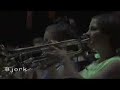 Bjork - Coachella Festival 2007 (Army of Me)