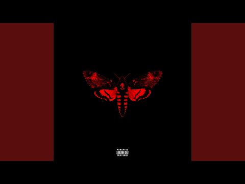 prostitute lyrics by lil wayne