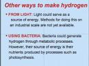 The Hydrogen Economy
