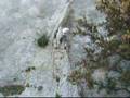 Escalade à Mouriès