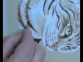Art Lessons 8 Cat Portrait