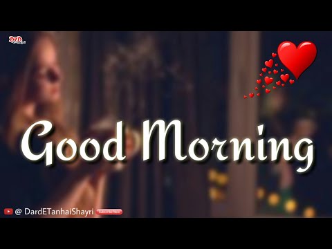 love status video