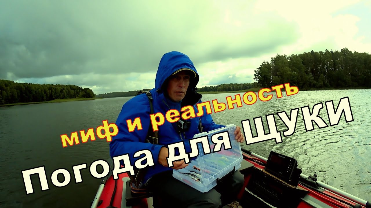 клюет ли щука в ветер