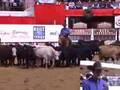 2007 NCHA Futurity Non-Pro