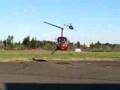 flying R22
