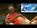 TateGoi Koi Masterclass Video 1: Selecting Tosai