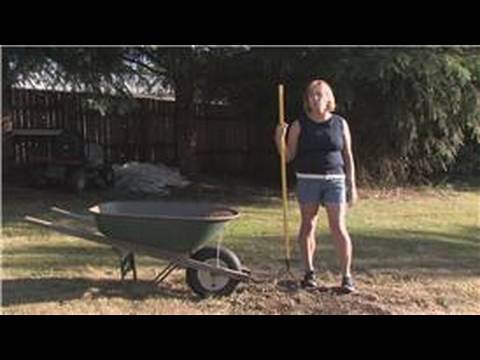 how to fertilize centipede lawn