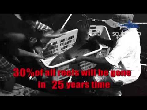 See video