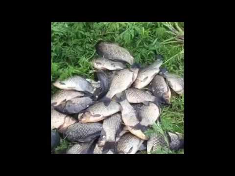 река эсс рыбалка река эсс рыбалка