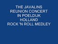 THE JAVALINS  Indorock