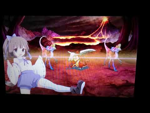 動画