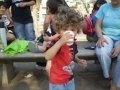 videos de Video año 2008