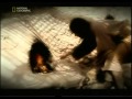 Загадки Библии: <br/>Тайна рукописей Мёртвого моря Загадки Библии: <br/>Тайна рукописей Мёртвого моря