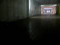 SFOD-D Lithuania airsoft team training