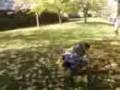 Video-0015 soz 4 bad picture quality but its still ace