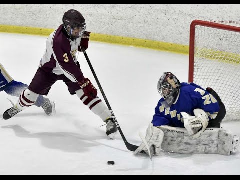 Markus Paltauf - '03 Goalie: 2019-2020 Highlights