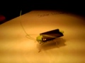 (uploaded by Shane666)&nbsp;Solar Locust