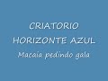 Macai pedindo gala.wmv Macai pedindo gala.wmv