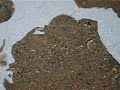 A Natural Spring
