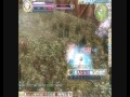 Rohan lvl 20 Knight