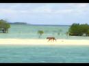 Palawan Palawan