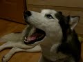 Kaiser Talking To Himself Again