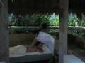 Evason Phuket