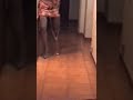 peggg.avi
