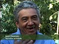 IPÊ - Pontal do Paranapanema Sâo Paulo - parte 2/3 IPÊ - Pontal do Paranapanema Sâo Paulo - parte 2/3