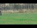 videos de wheelie yamaha wr