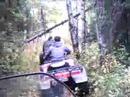 En quad por los bosques de berry(Quebec)