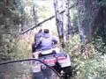 En quad por los bosques de berry(Quebec)