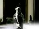 Cat in Jar to Music