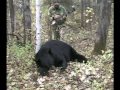 Monster 400 lb Black Bear Hunt Alberta Canada