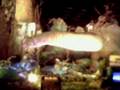 MOV0330A.3gp