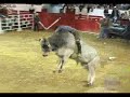 Lo Mejor Del Carnaval De Autlan Jalisco 2009 #4