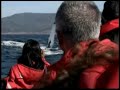 Cabot Trail Whale Watching