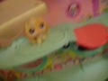 Littlest pet shop a kindergarden story :part 2