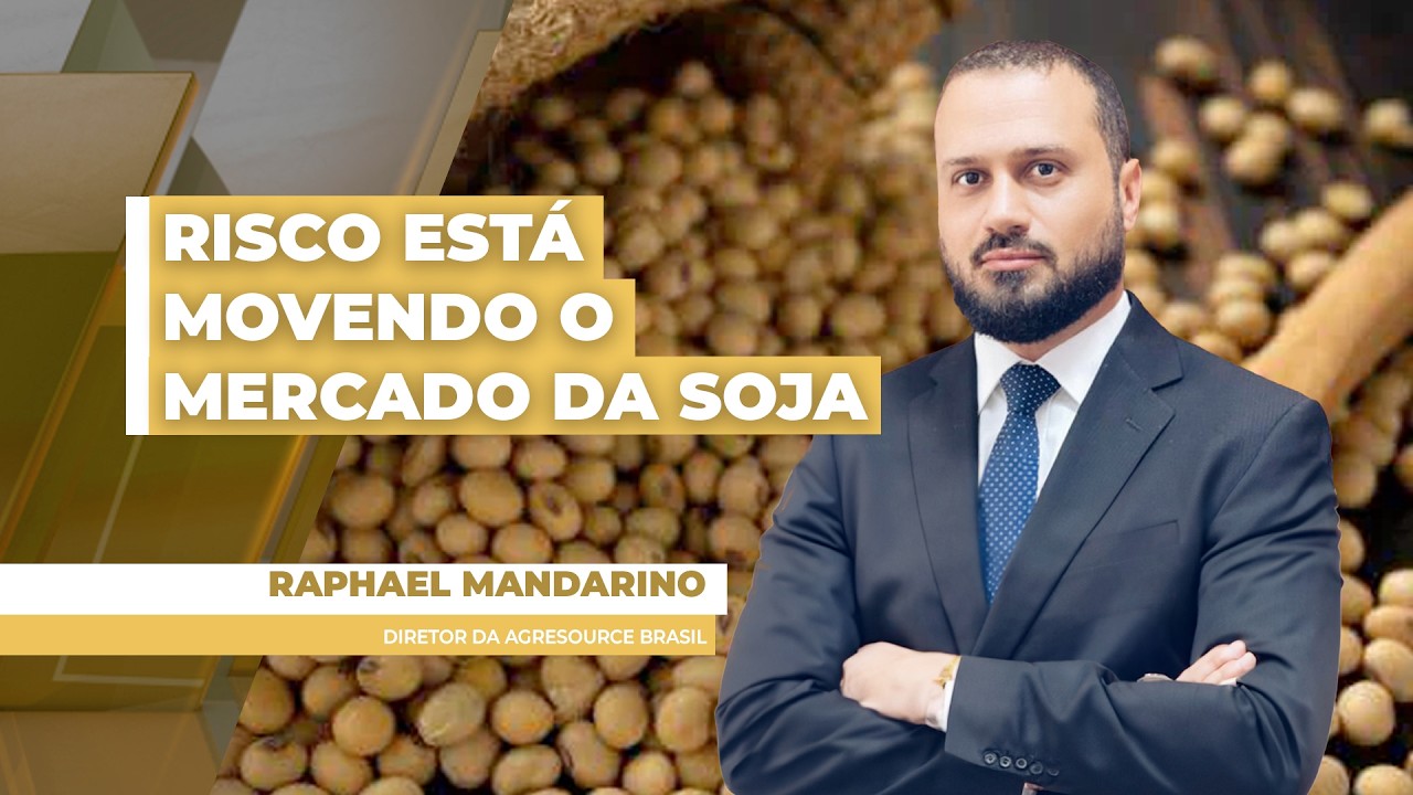 Apesar das altas em Chicago, preços da soja não reagem no BR em função da queda do dólar