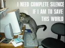 funny cats 2