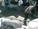 Teknival 2008 RDS 6tm