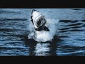 ...sch�ner remix zu nem hammer lied...

share this moment with you, people

bilder sind aus dem film unsere erde...