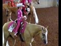 PHBA World Show 2008 6th Horsemanship